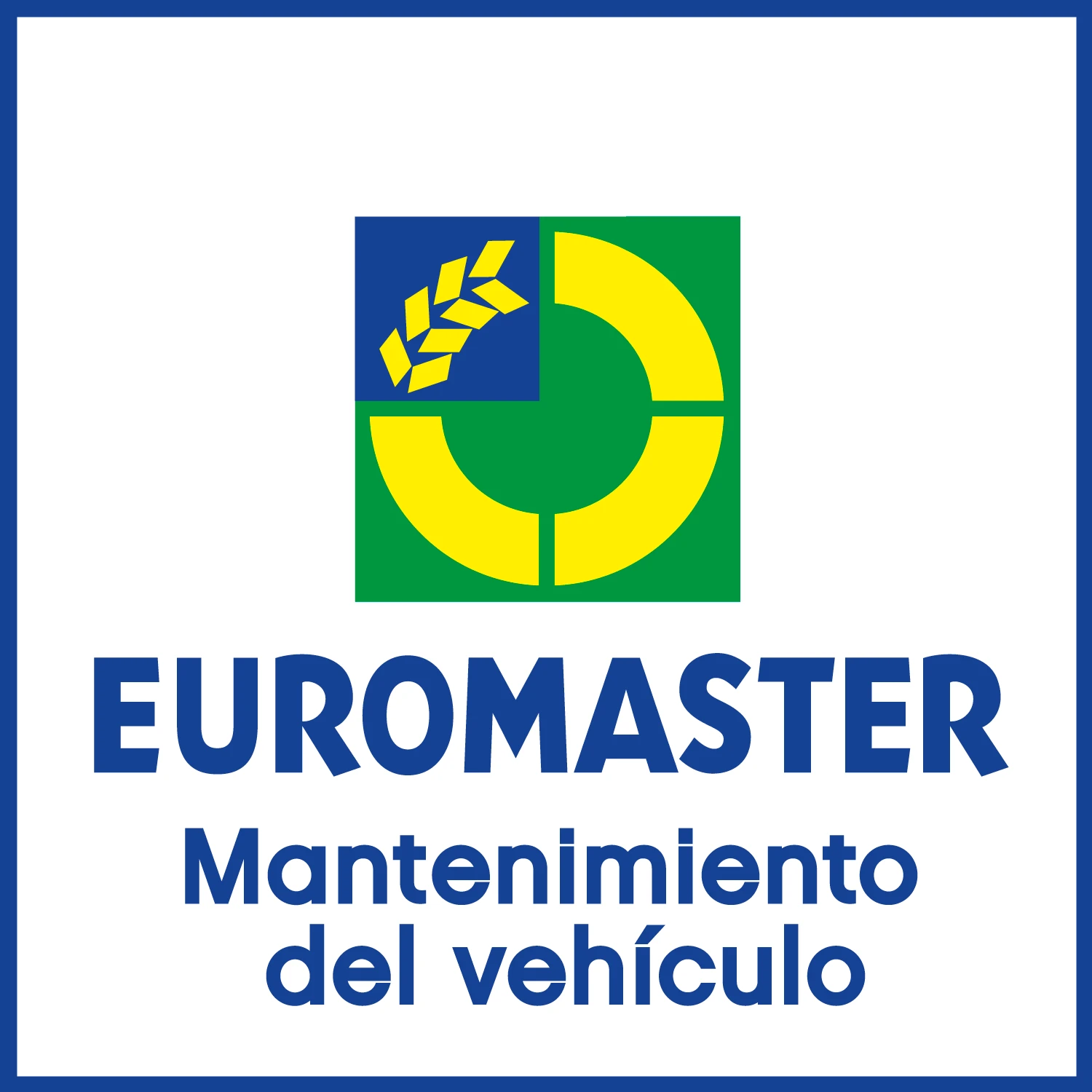 EUROMASTER AUTOMOCIÓN Y SERVICIOS SA