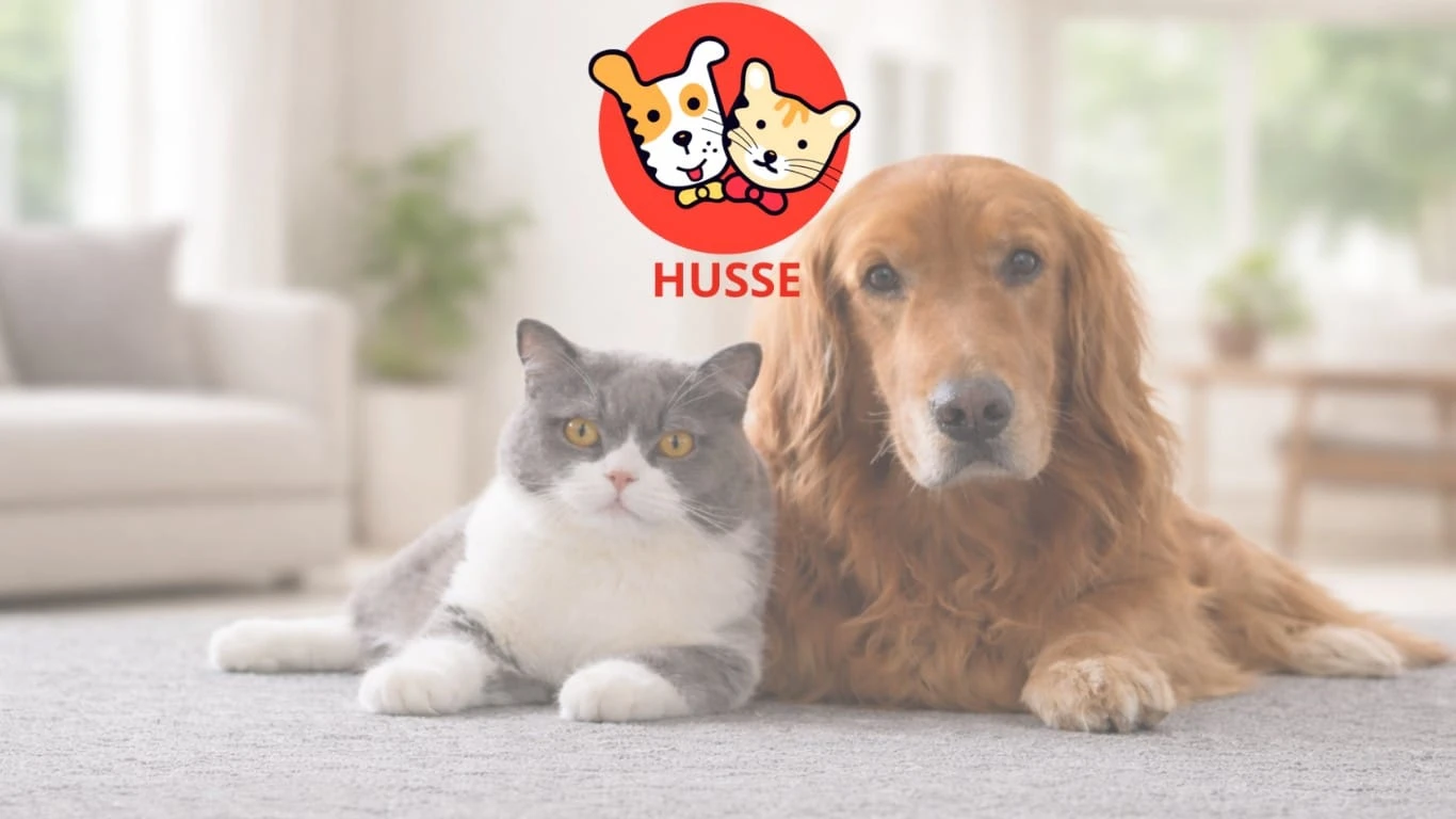 Husse 