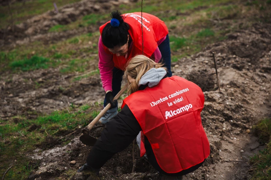 Alcampo destina 95.000 euros a cinco proyectos sociales