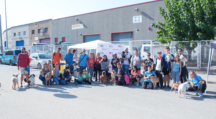 TERRANOVACNC PARTICIPA EN LA III CAMINATA SOLIDARIA CANINA EN GRANOLLERS