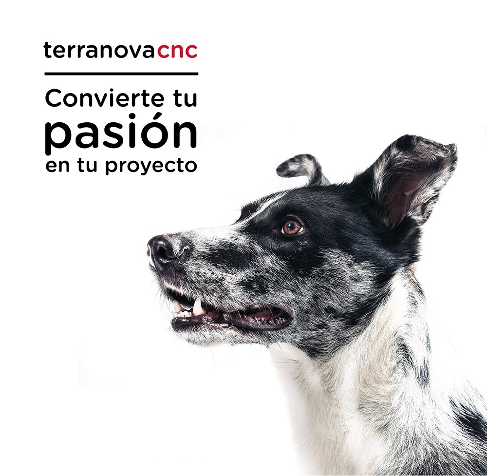 SANTIAGO DE COMPOSTELA ACOGE LA APERTURA DE LA PRIMERA TIENDA TERRANOVACNC EN GALICIA