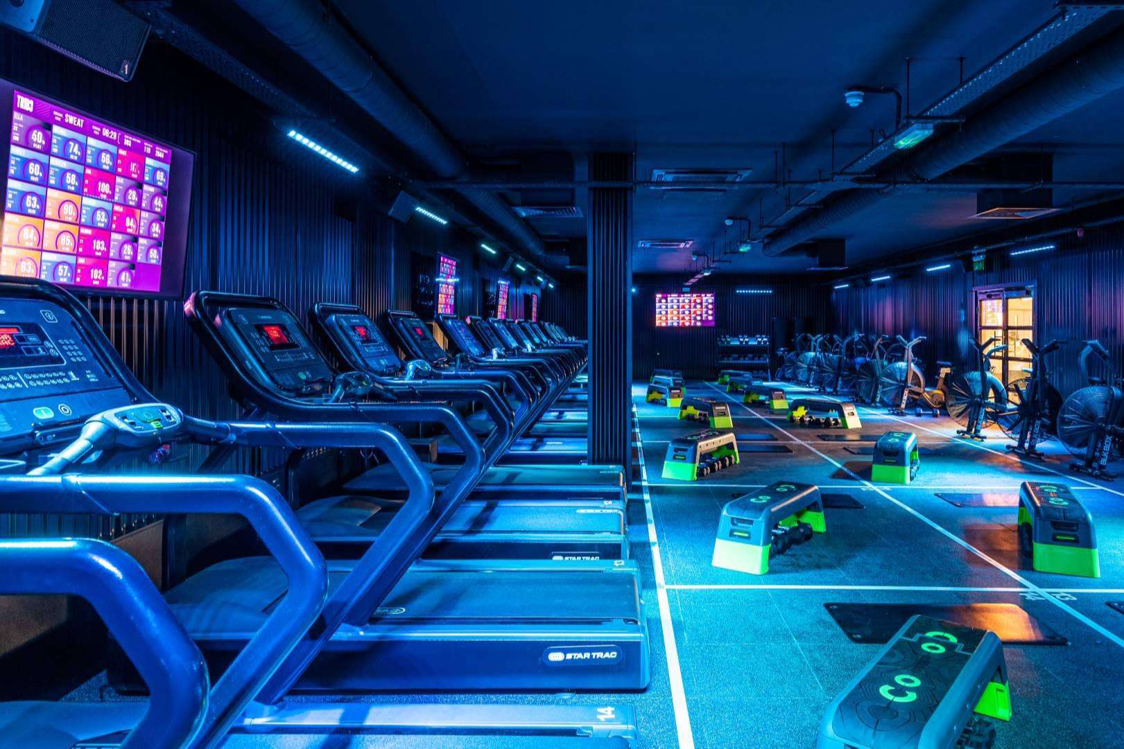 Invertir en un sector en constante crecimiento, de la mano de TRIB3