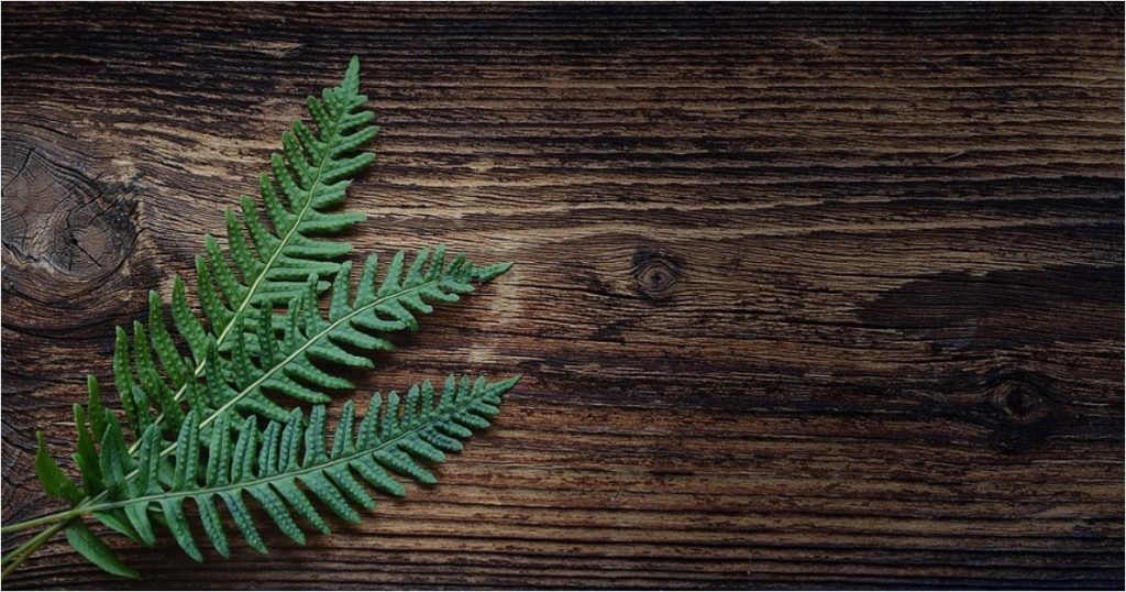 HAZ LAS COSAS DE MANERA DIFERENTE: ELIGE UNA FRANQUICIA RESPONSABLE